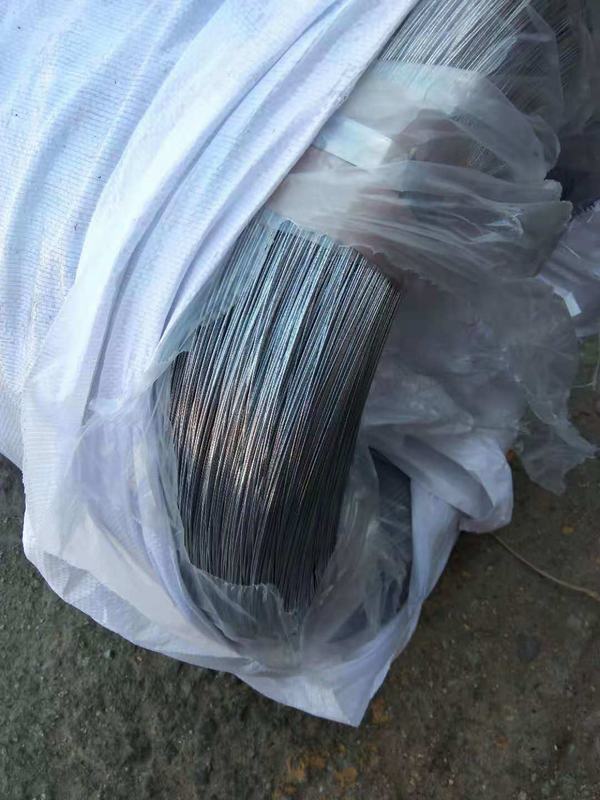 5.0mm Galvanized Steel Wire for Fence and Mesh