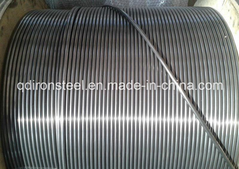 316L, 304L Stainless Steel Coil Tube