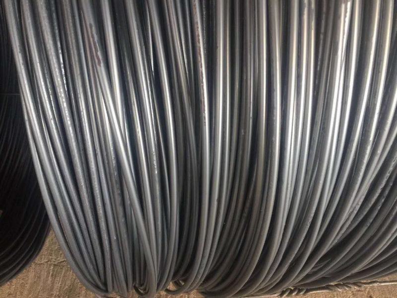 SAE1008 5.5mm Low Carbon Hot Rolled Steel Wire Rod