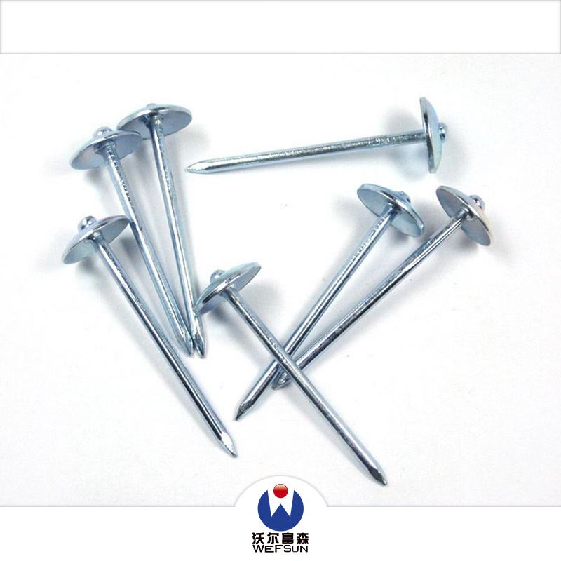 Wholesale Iron Nails /Galvanized Steel Nails /Roofing Nails